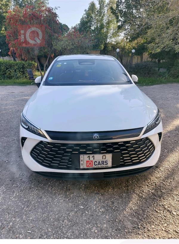 بي واي دي Qin Plus 2025 للبيع في العراق -  بغداد